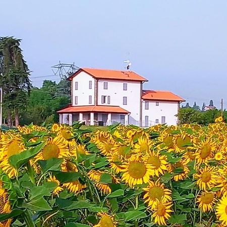 La Collinetta B&B 克雷斯佩拉诺 外观 照片